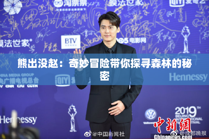 熊出没赵：奇妙冒险带你探寻森林的秘密