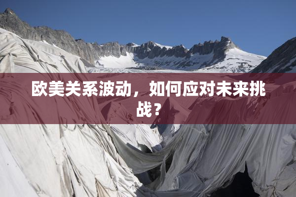 欧美关系波动，如何应对未来挑战？