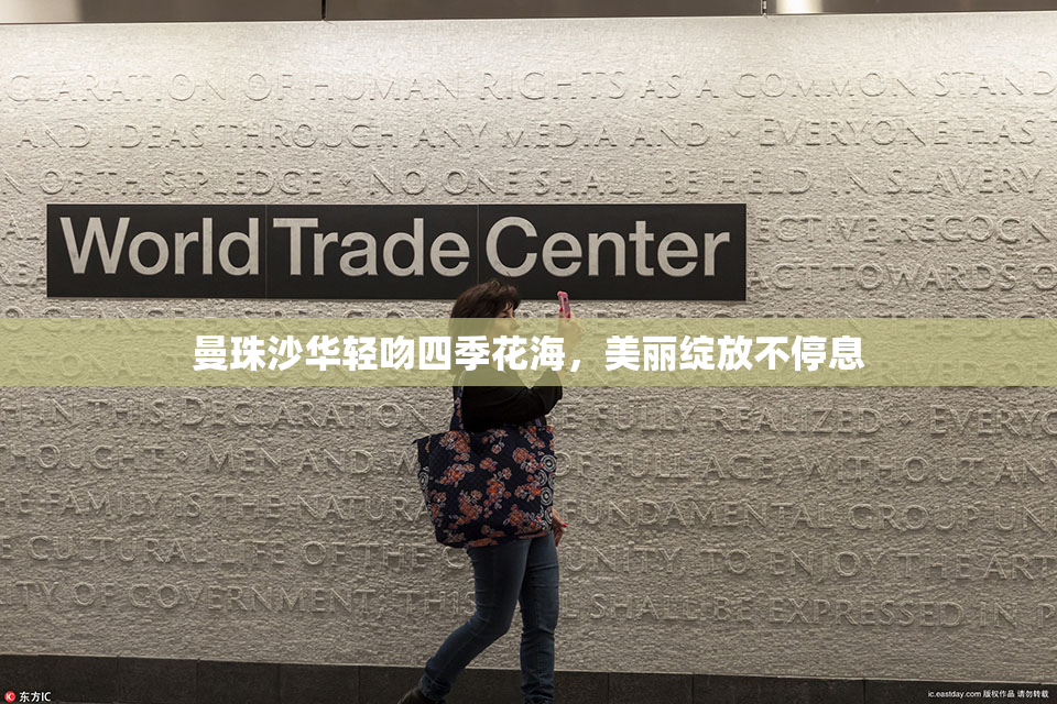 曼珠沙华轻吻四季花海，美丽绽放不停息
