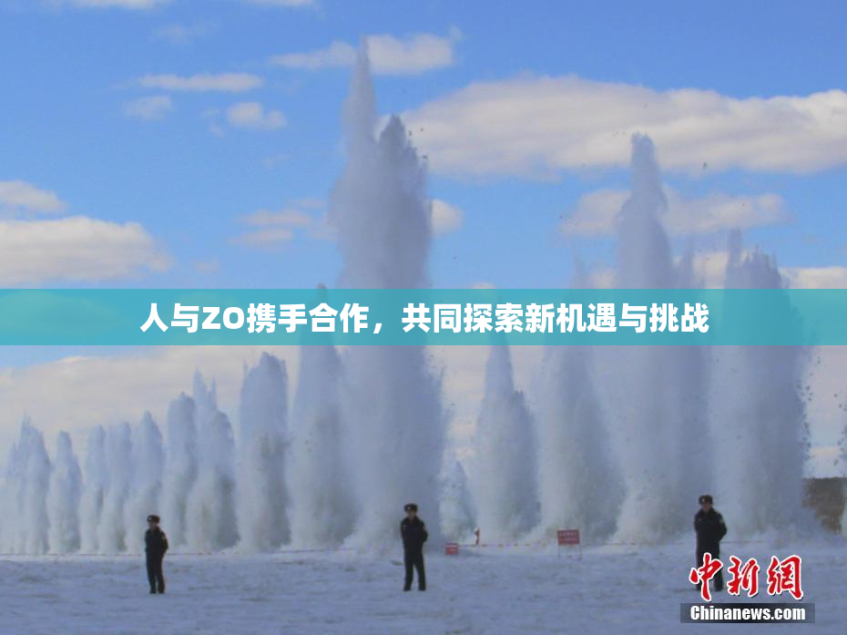 人与ZO携手合作，共同探索新机遇与挑战