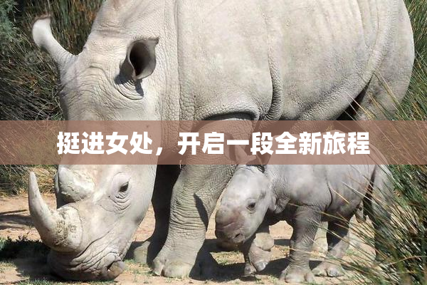 挺进女处，开启一段全新旅程