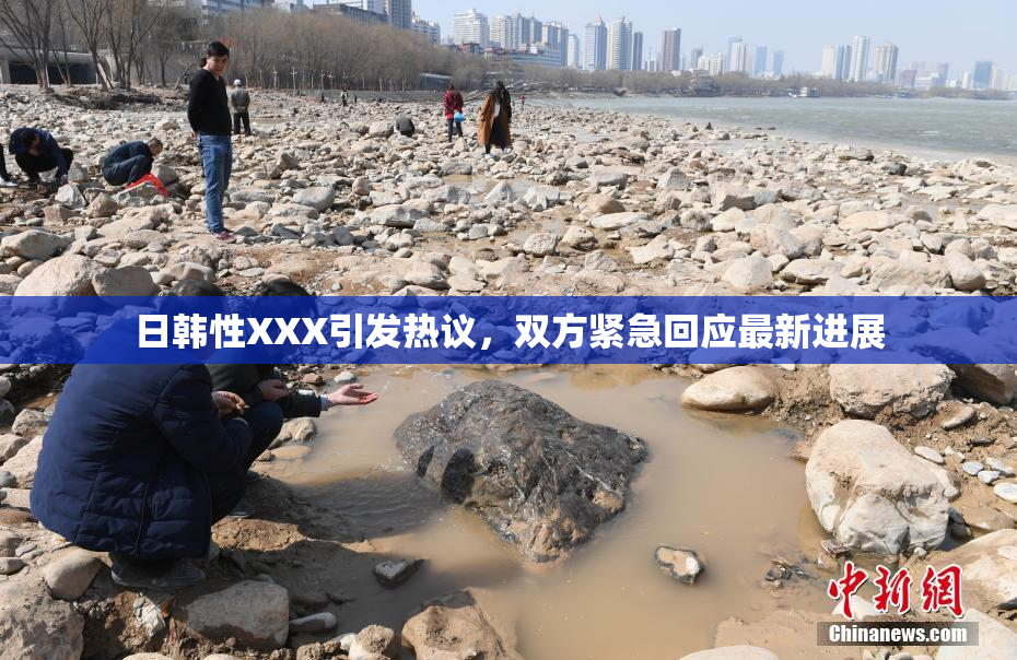 日韩性XXX引发热议，双方紧急回应最新进展