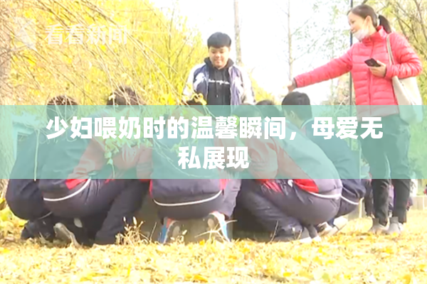 少妇喂奶时的温馨瞬间，母爱无私展现