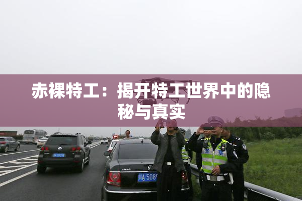 赤裸特工：揭开特工世界中的隐秘与真实