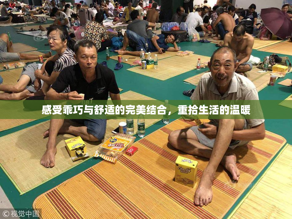 感受乖巧与舒适的完美结合，重拾生活的温暖