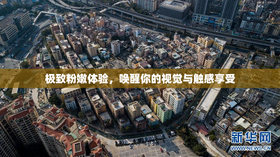 极致粉嫩体验，唤醒你的视觉与触感享受