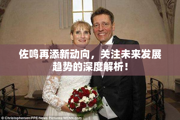 佐鸣再添新动向，关注未来发展趋势的深度解析！
