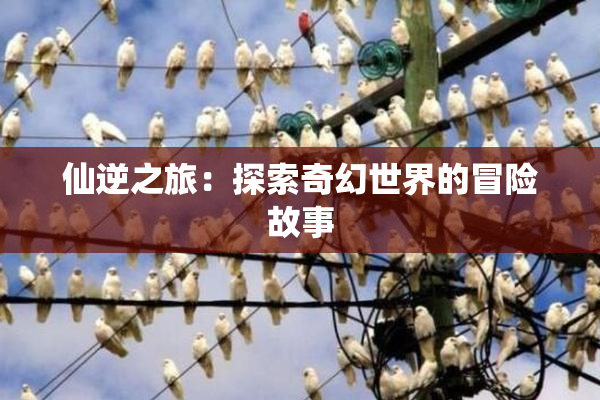 仙逆之旅：探索奇幻世界的冒险故事