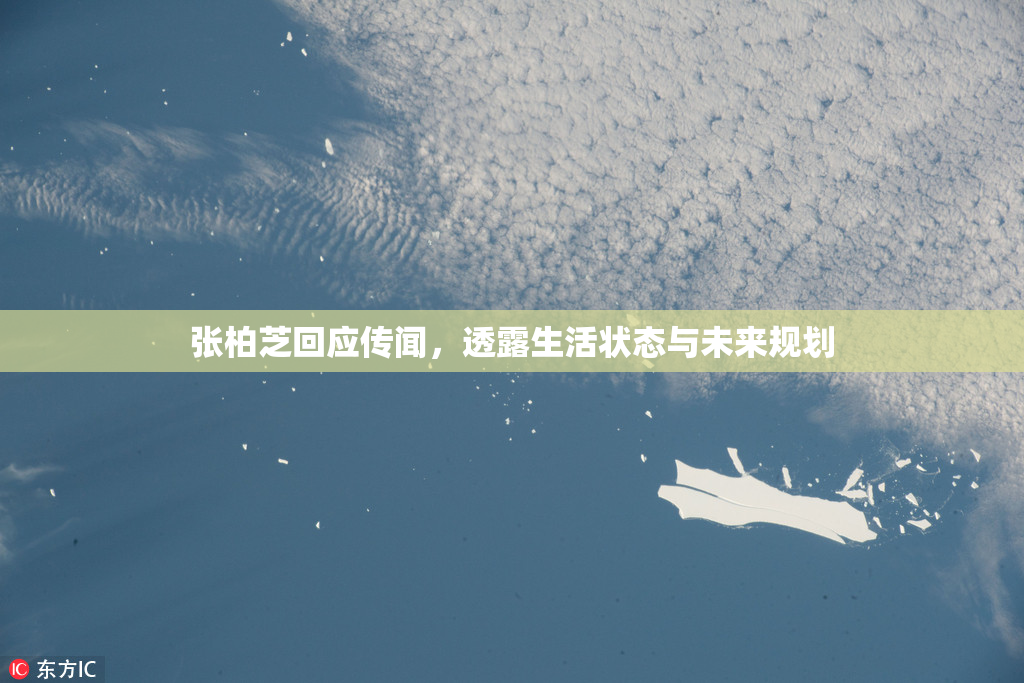 张柏芝回应传闻，透露生活状态与未来规划