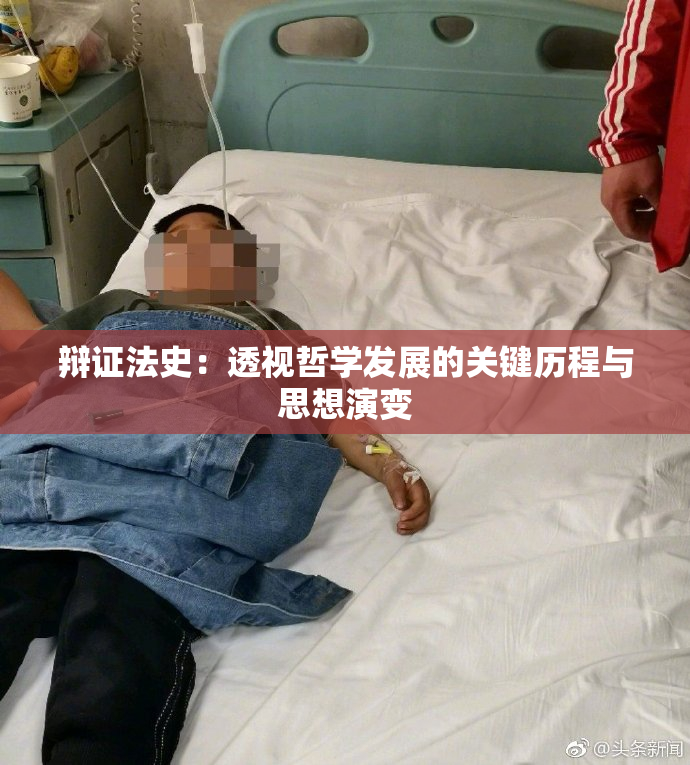辩证法史：透视哲学发展的关键历程与思想演变