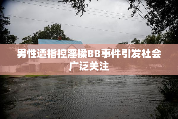 男性遭指控淫揉BB事件引发社会广泛关注