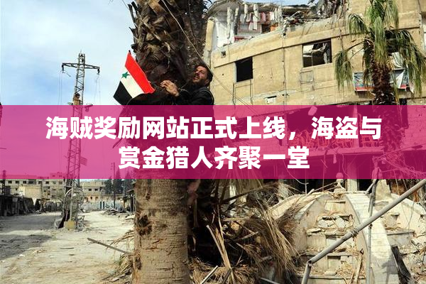 海贼奖励网站正式上线，海盗与赏金猎人齐聚一堂