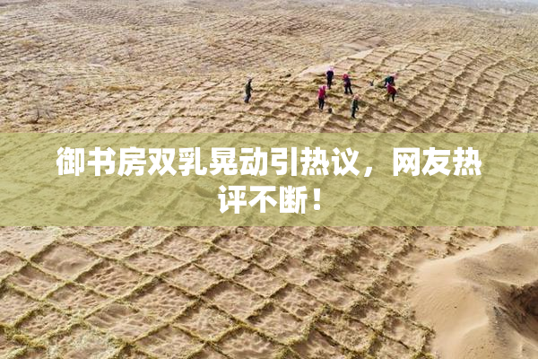 御书房双乳晃动引热议，网友热评不断！