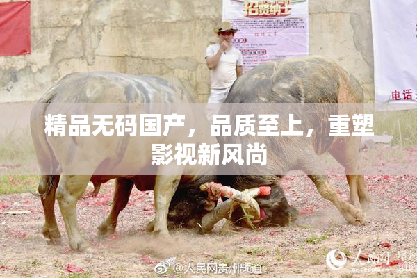 精品无码国产，品质至上，重塑影视新风尚