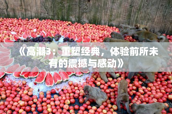 《高潮3：重塑经典，体验前所未有的震撼与感动》