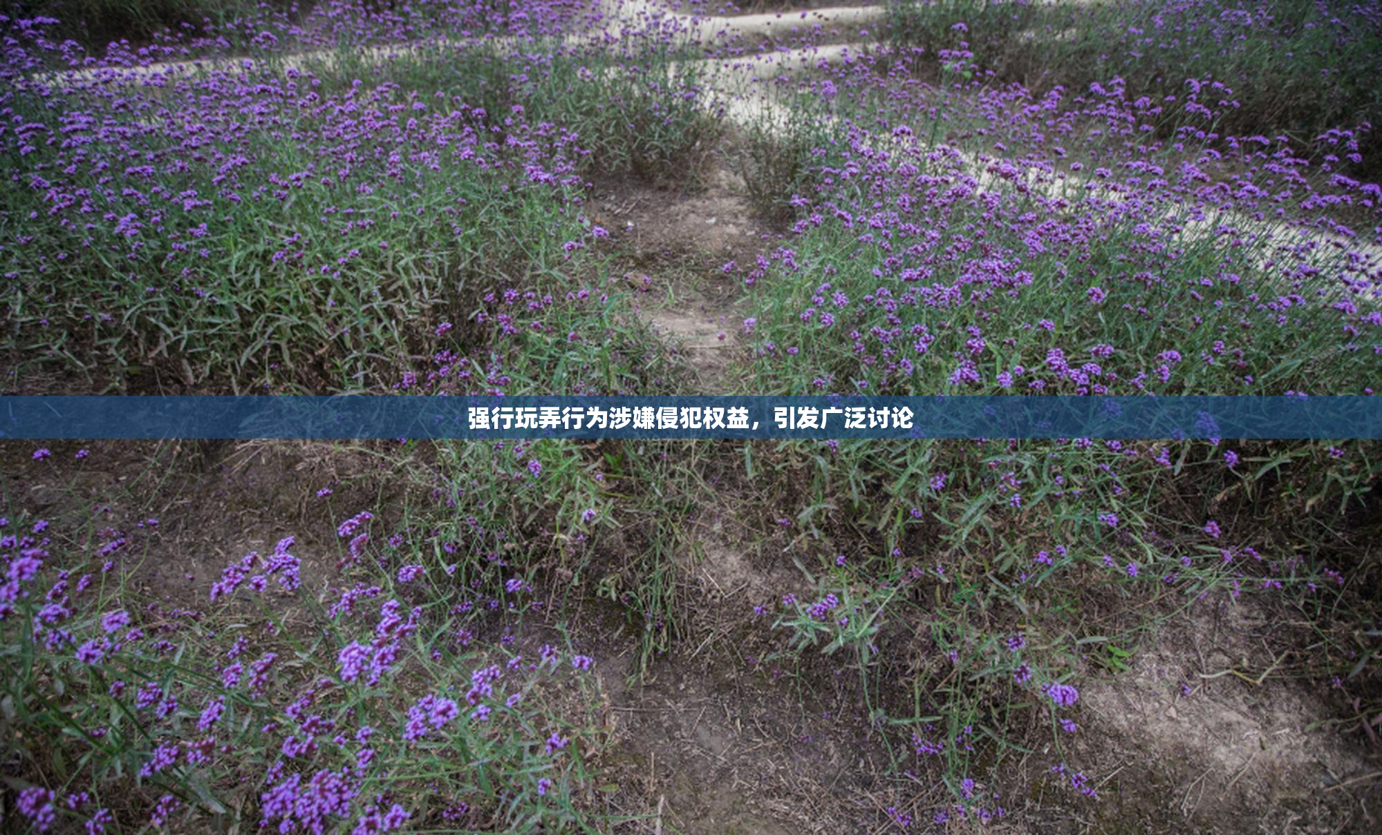 强行玩弄行为涉嫌侵犯权益，引发广泛讨论