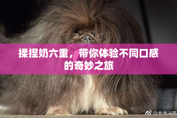 揉捏奶六重，带你体验不同口感的奇妙之旅