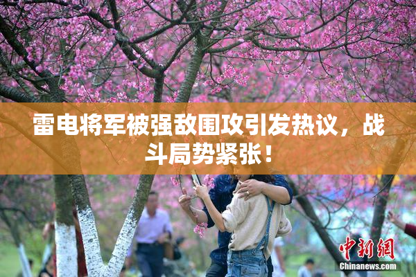 雷电将军被强敌围攻引发热议，战斗局势紧张！