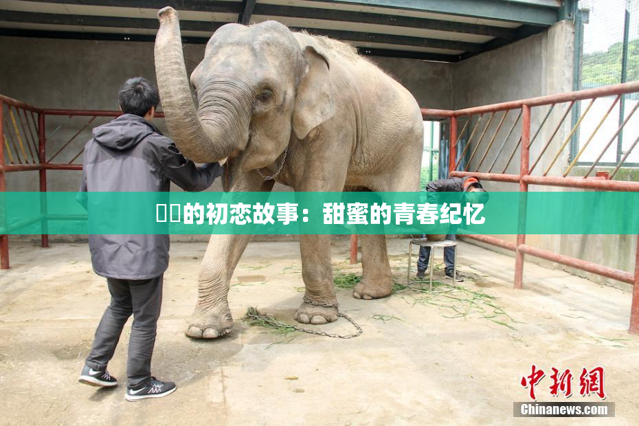 妺妺的初恋故事：甜蜜的青春纪忆