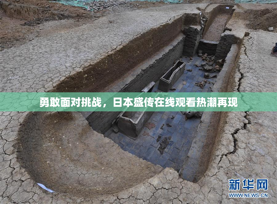 勇敢面对挑战，日本盛传在线观看热潮再现