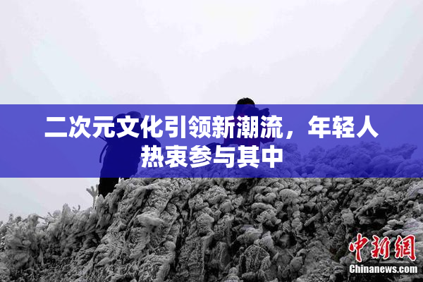 二次元文化引领新潮流，年轻人热衷参与其中