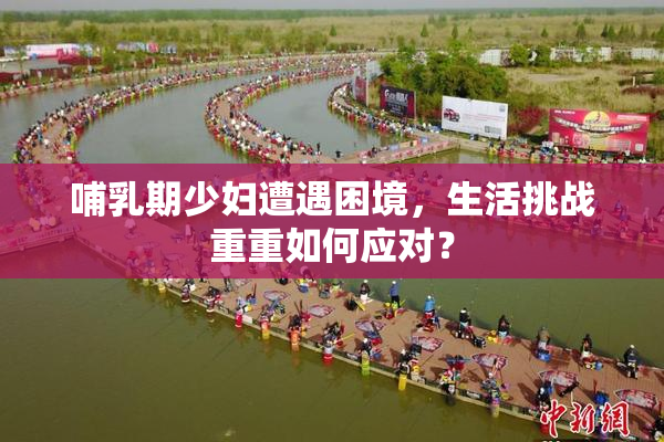 哺乳期少妇遭遇困境，生活挑战重重如何应对？