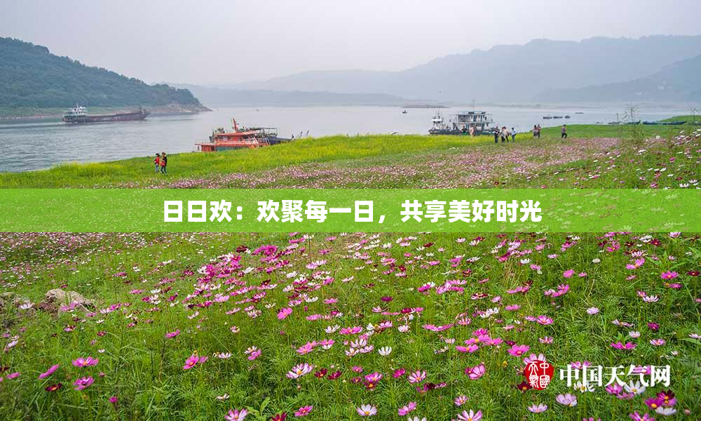 日日欢：欢聚每一日，共享美好时光