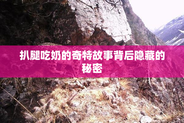 扒腿吃奶的奇特故事背后隐藏的秘密