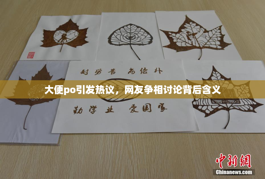 大便po引发热议，网友争相讨论背后含义
