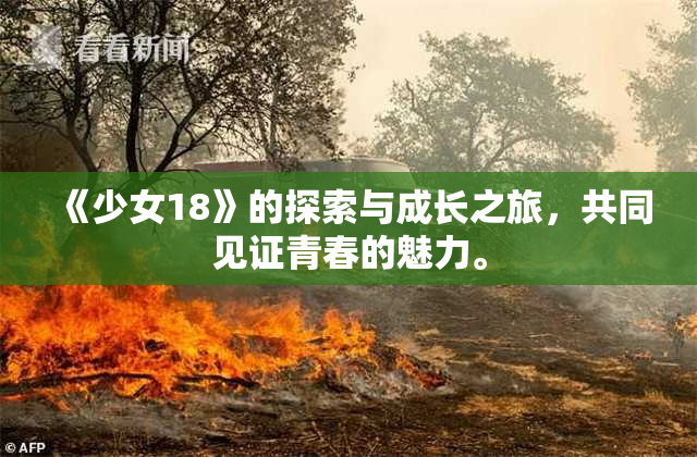 《少女18》的探索与成长之旅，共同见证青春的魅力。