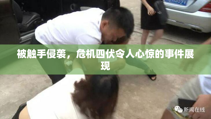 被触手侵袭，危机四伏令人心惊的事件展现