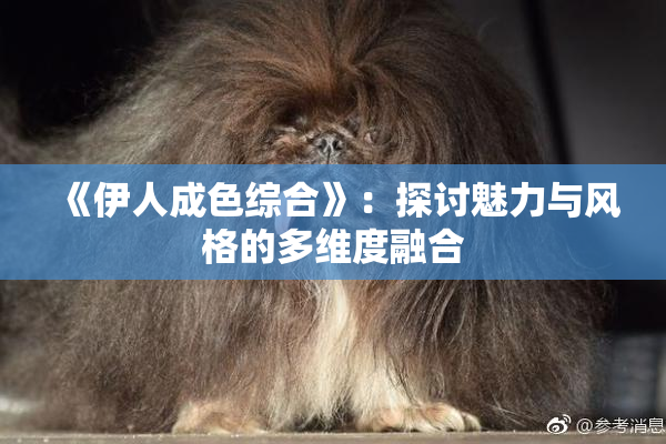 《伊人成色综合》：探讨魅力与风格的多维度融合