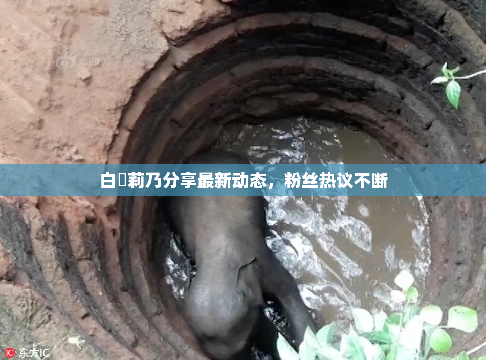 白咲莉乃分享最新动态，粉丝热议不断