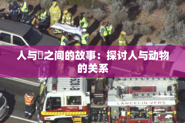 人与嘼之间的故事：探讨人与动物的关系