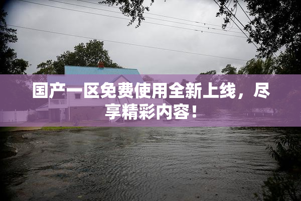 国产一区免费使用全新上线，尽享精彩内容！