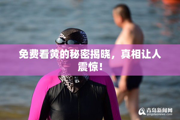 免费看黄的秘密揭晓，真相让人震惊！