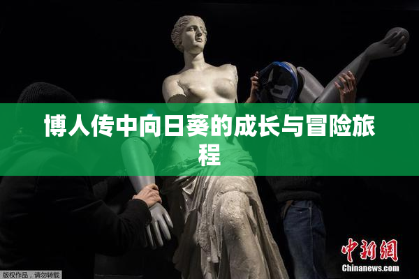 博人传中向日葵的成长与冒险旅程