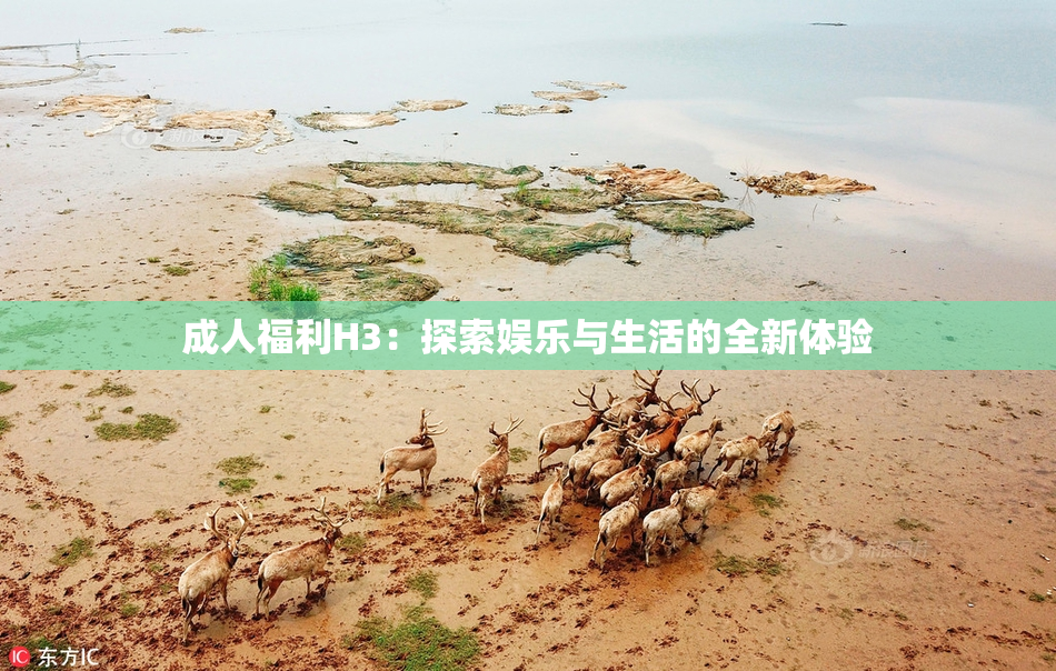 成人福利H3：探索娱乐与生活的全新体验