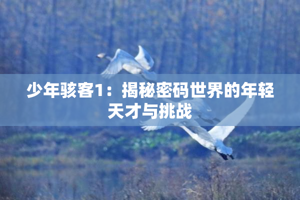 少年骇客1：揭秘密码世界的年轻天才与挑战