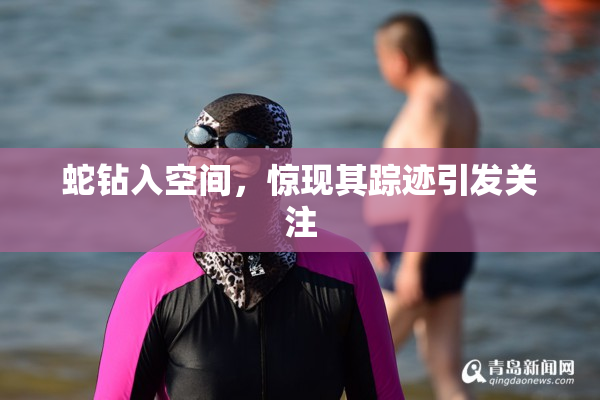 蛇钻入空间，惊现其踪迹引发关注