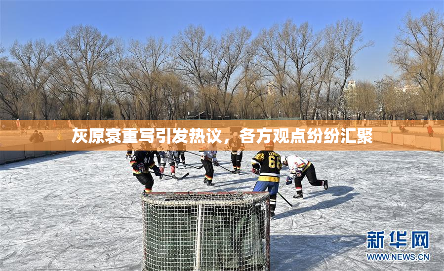 灰原衰重写引发热议，各方观点纷纷汇聚