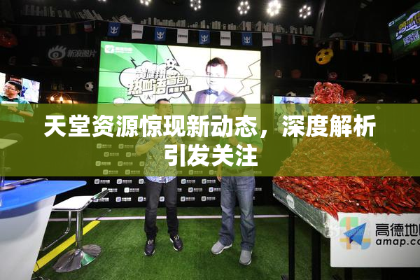 天堂资源惊现新动态，深度解析引发关注