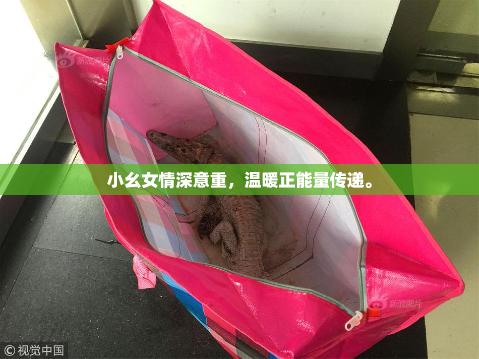 小幺女情深意重，温暖正能量传递。