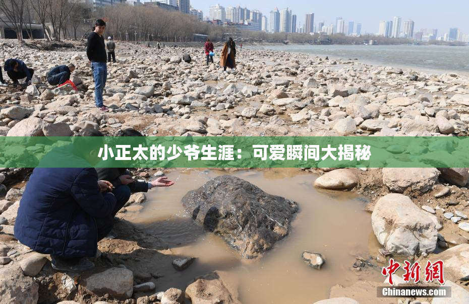 小正太的少爷生涯：可爱瞬间大揭秘