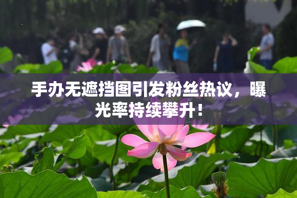 手办无遮挡图引发粉丝热议，曝光率持续攀升！