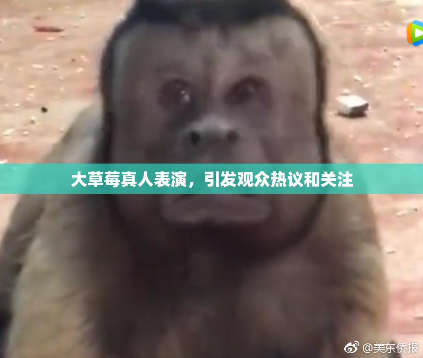 大草莓真人表演，引发观众热议和关注