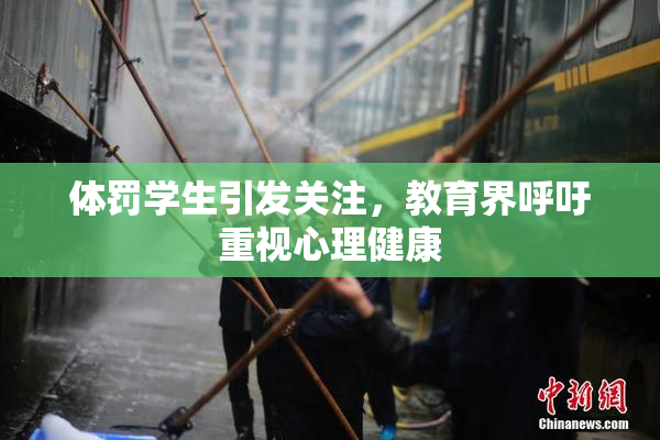 体罚学生引发关注，教育界呼吁重视心理健康