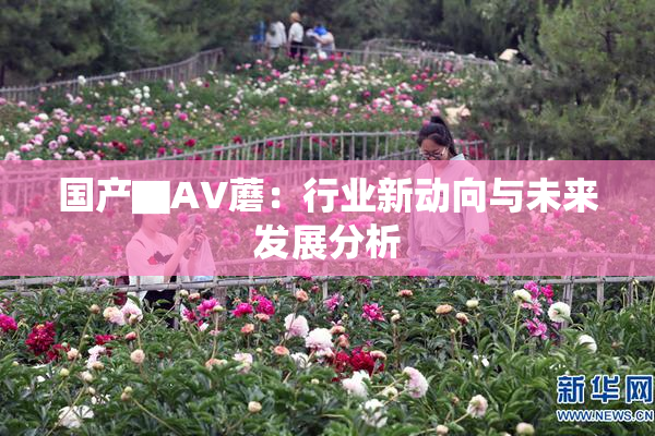 国产▇AV蘑：行业新动向与未来发展分析
