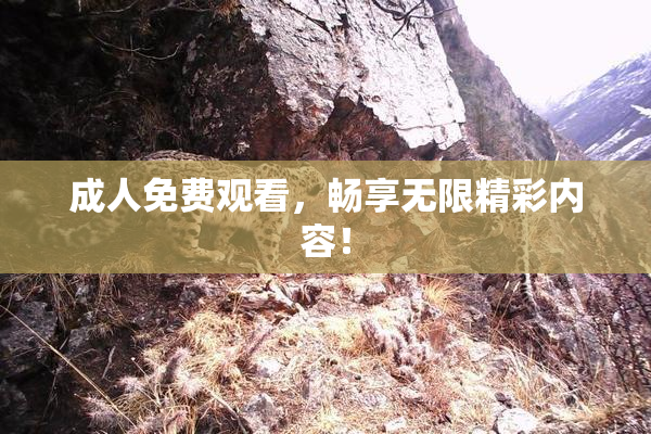 成人免费观看，畅享无限精彩内容！