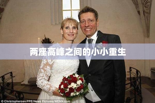 两座高峰之间的小小重生